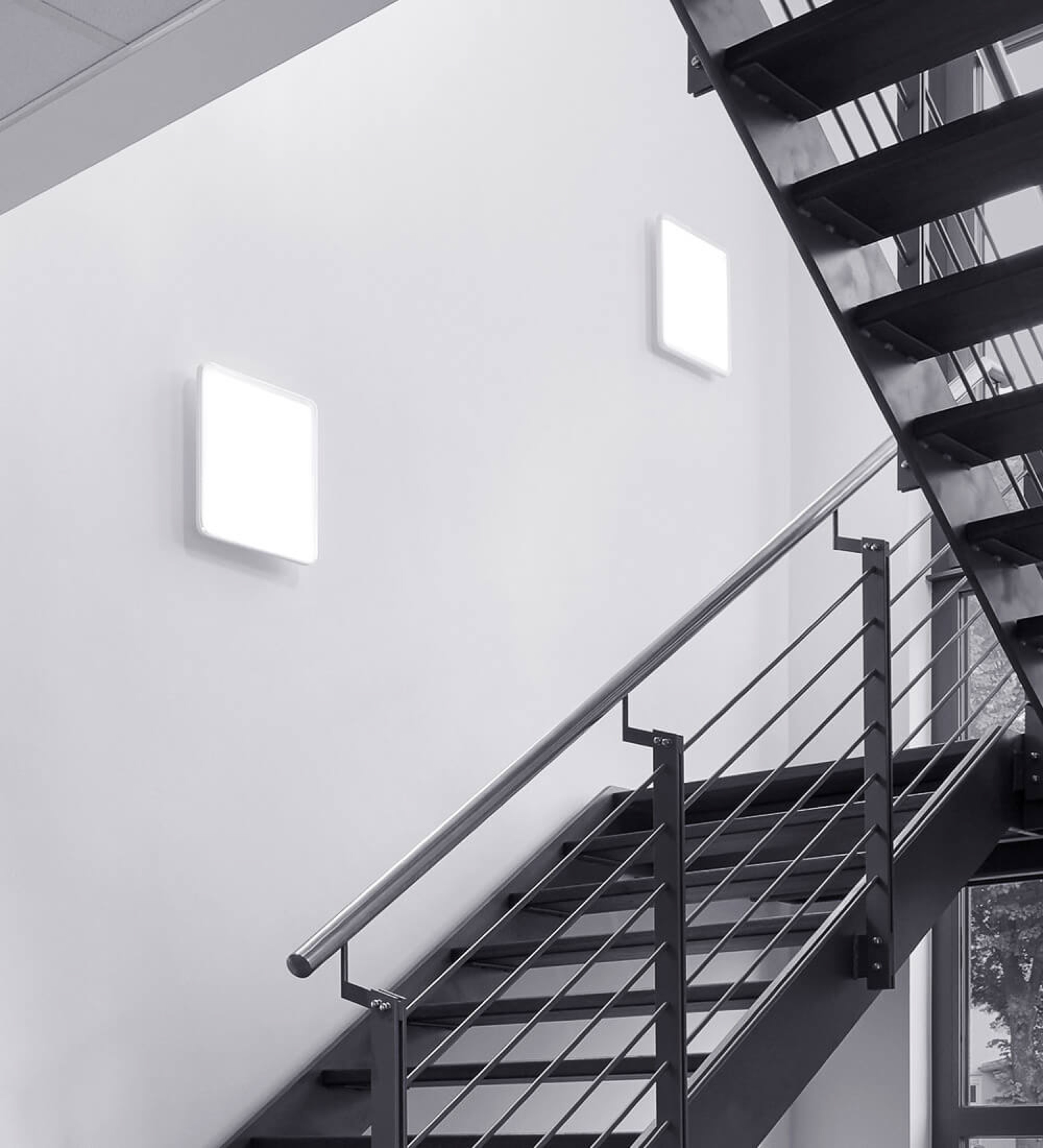 02_Monza_Projects_Caela