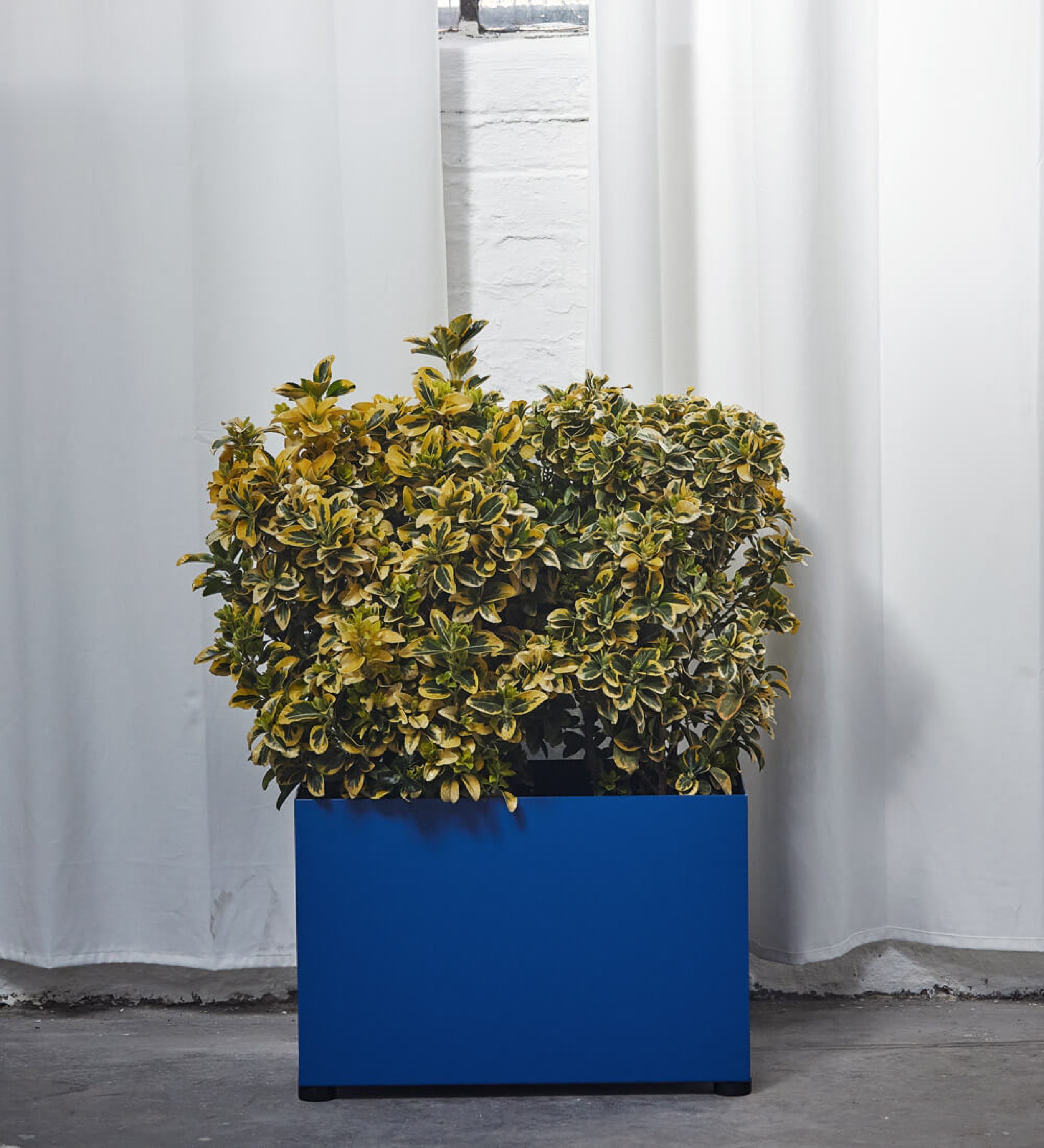blumenkuebel-gross-rechteckig-metall